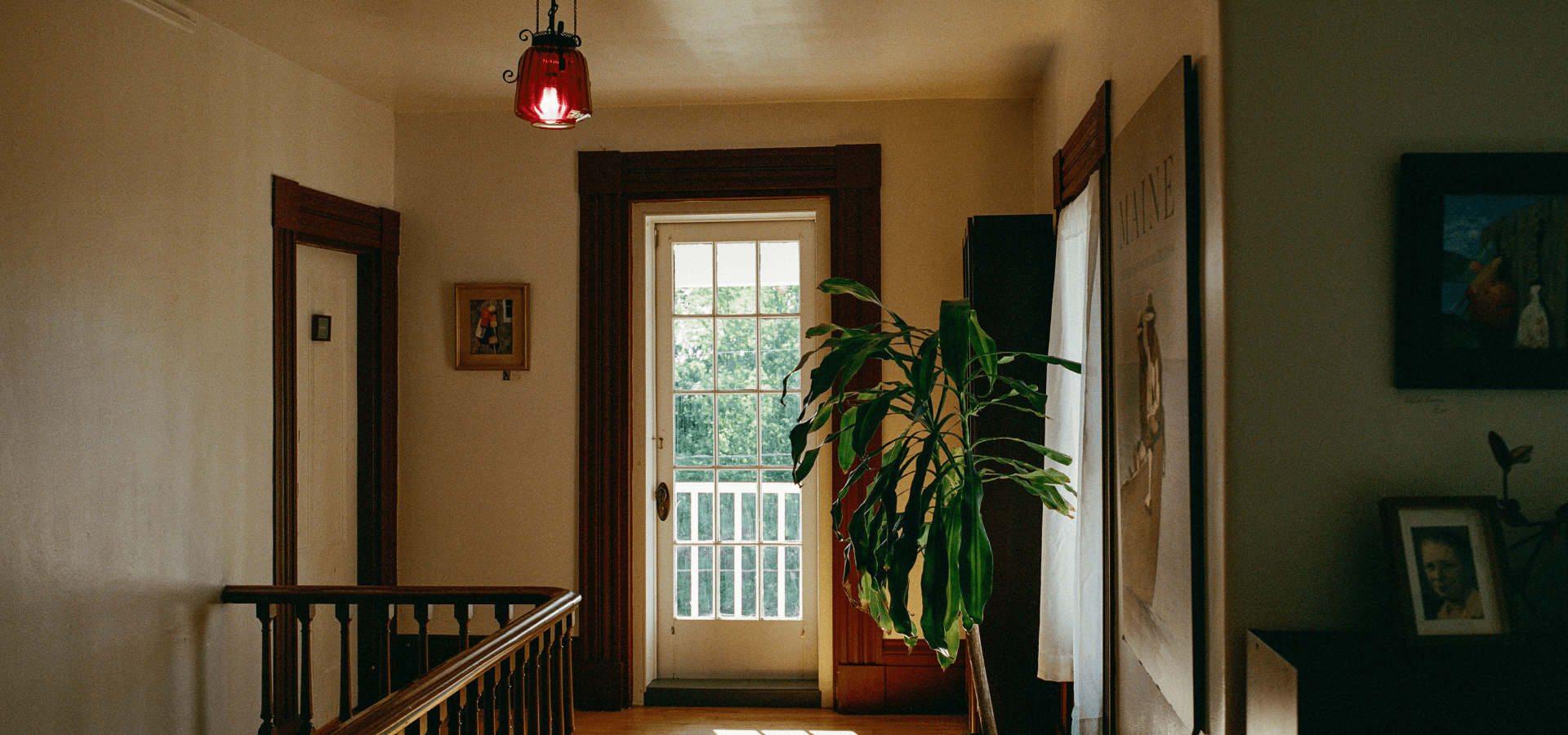 A sunlit hallway featuring a doorway to the outdoors, a hanging red lamp, and a potted plant.