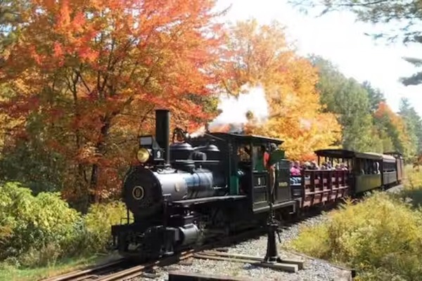 train in fall